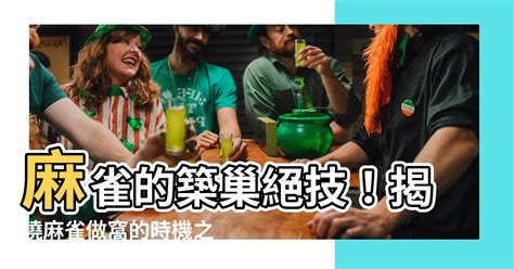 麻雀築巢好運|【麻雀做窩】麻雀飛進家裡築巢？居家風水大解析！